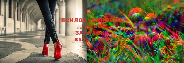 гашик Абаза
