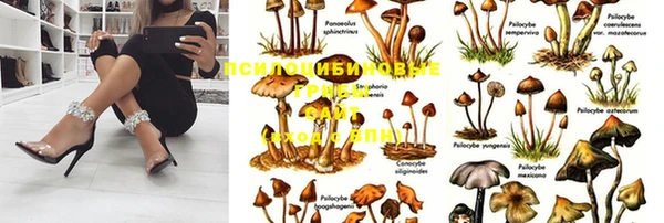 гашик Абаза