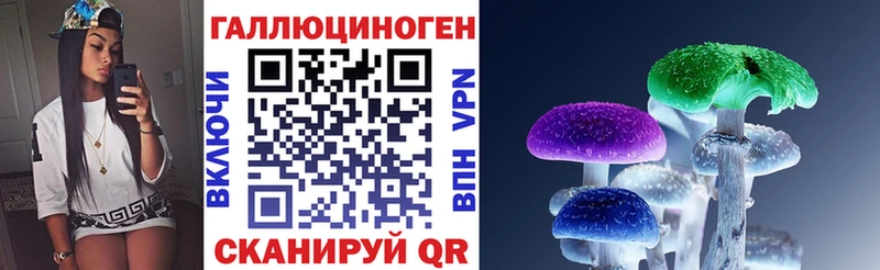 кракен как зайти  Староминская  Галлюциногенные грибы Magic Shrooms 